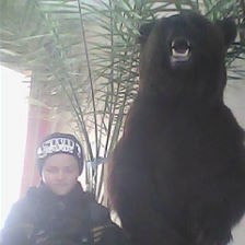 ����, ��������