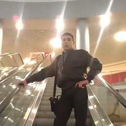 ���� ������, �������, 41 ��� - ��������� 28 �������� 2014