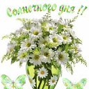 ���� �����, ����� - ��������� 3 �������� 2014 � ������ ������ ��������