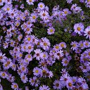 ���� �������, ����, 61 ��� - ��������� 28 �������� 2014 � ������ ���� ����������