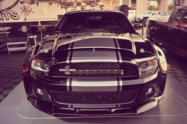 Ford Mustang Shelby GT500 - 3