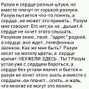 ���� �������, ��������, 51 ��� - ��������� 5 ������� 2014 � ������ ������ ��������