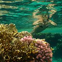 ���� ������, ������ - ��������� 6 ������� 2014 � ������ ������ ��������