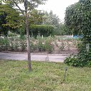���� Alina, ��������� - ��������� 30 ������� 2014 � ������ ���� ����������