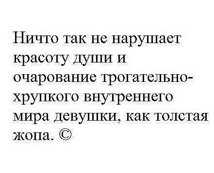 SportFeed - 28  2014  16:13