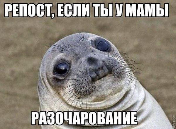    :D - 12  2014  22:44