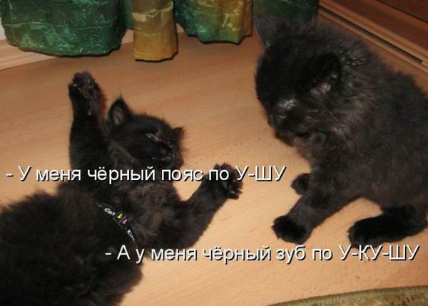 Подпишитесь, если понравилось!!! fotostrana.ru/public/237440/?