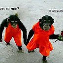 ���� �����, ��������, 50 ��� - ��������� 22 ������ 2014 � ������ ���� ����������