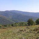  ,  , 53  -  22  2014    2014