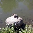 ���� ����, �����, 37 ��� - ��������� 3 ������� 2014 � ������ ������ � ����ջ