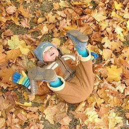 ���� ������, ������ �������� - ��������� 23 �������� 2014