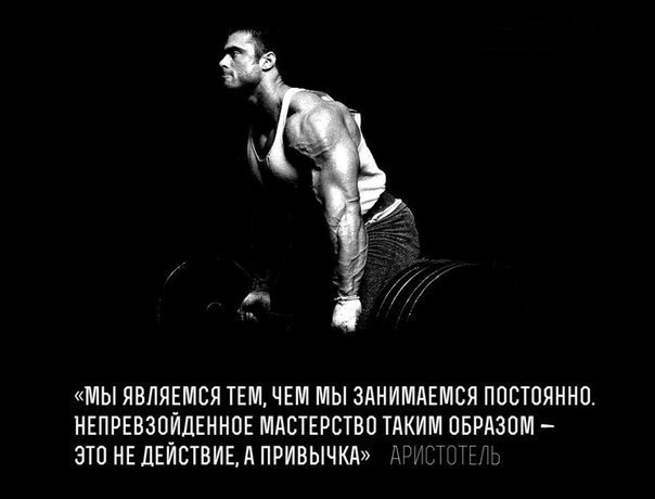 SportFeed - 12  2014  16:48