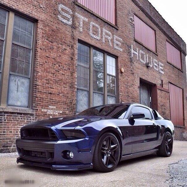 Shelby GT500. - 3