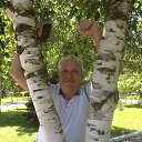 ���� �������, �����-���������, 81 ��� - ��������� 31 ������� 2014