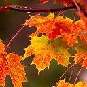 ���� &hearts; ������� &hearts;, ������ - ��������� 3 ������ 2014 � ������ ������ ��������
