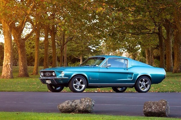 Ford Mustang - 6