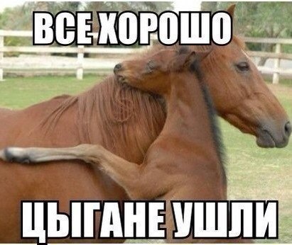    :D - 25  2014  06:32