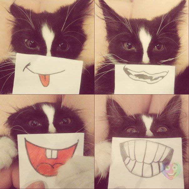 Art & Fun - 7  2014  21:07