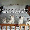 ���� ������, ������, 54 ���� - ��������� 22 ������ 2014 � ������ ������ ��������