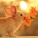 ���� Nikitooos, ������, 27 ��� - ��������� 4 ������� 2014