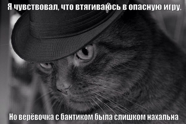   - 12  2014  04:11