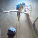 ���� Valentin, �������, 46 ��� - ��������� 28 ������� 2014 � ������ �1�