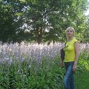 ���� ������, ���������, 48 ��� - ��������� 27 ������ 2014 � ������ ���� ����������