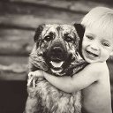  Alehandro,  -  26  2014    