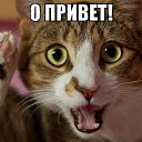 ���� ���������, ���������, 40 ��� - ��������� 27 ������� 2014