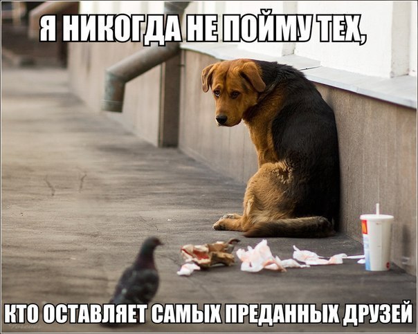  - 28  2014  08:09