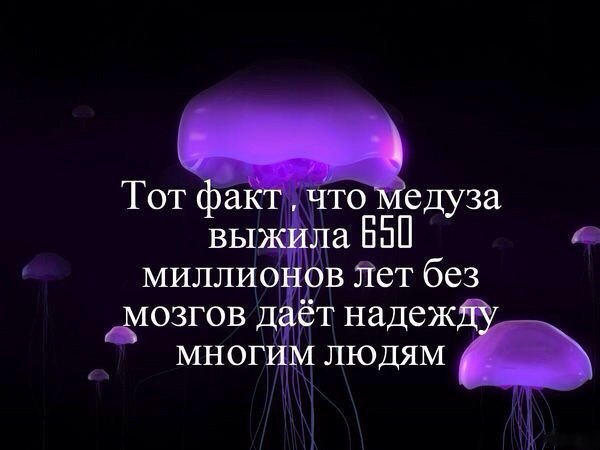   - 15  2014  23:31