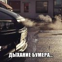 ���� Ginger, ������� - ��������� 4 ������ 2014 � ������ �� ����