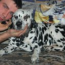 ���� ����, ������������, 35 ��� - ��������� 8 �������� 2014 � ������ ���� ����������