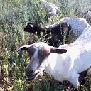 ���� ������, ��������, 69 ��� - ��������� 22 ������� 2014 � ������ ��� �������