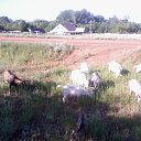 ���� ������, ��������, 69 ��� - ��������� 22 ������� 2014 � ������ ��� �������