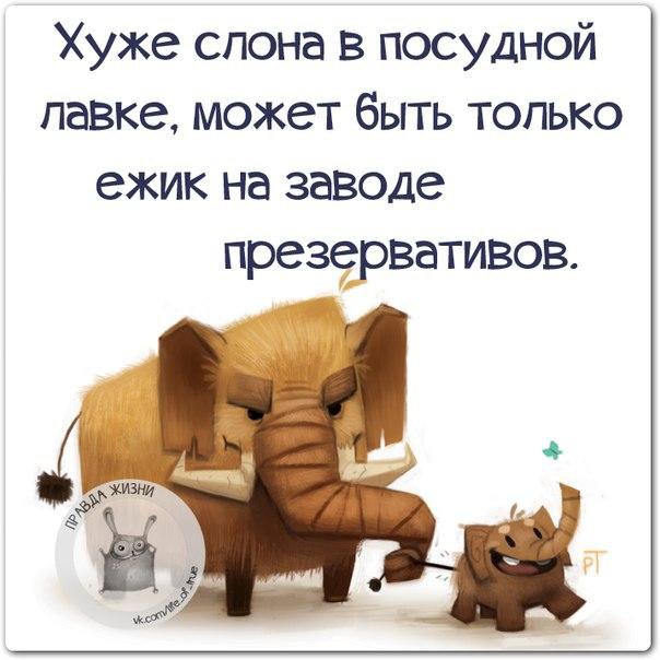   - 3  2014  23:16