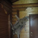 ���� �������, ������ ������� - ��������� 28 ������ 2014 � ������ ��