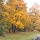 ���� ������, �����-���������, 61 ��� - ��������� 6 ������� 2014 � ������ �������� ���� ������� 2014�