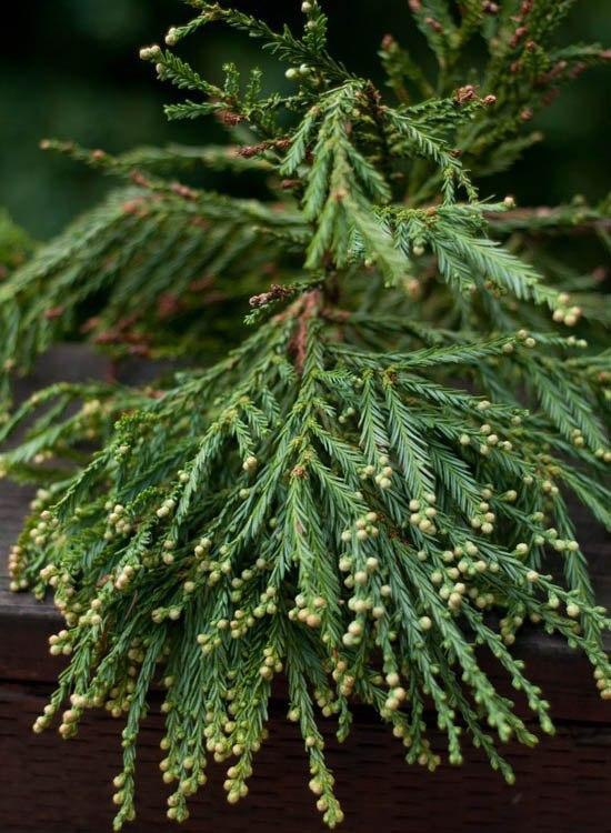    - 27  2014  05:03 - 3