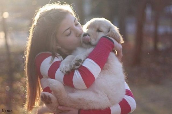 iLove