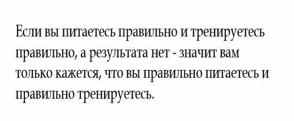 SportFeed - 11  2014  11:28