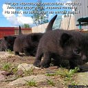���� ���� ������, ������, 59 ��� - ��������� 31 ������� 2014 � ������ ������ ��������