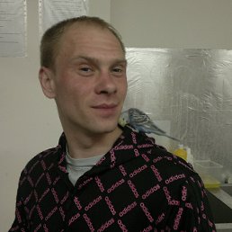 ���� ����, �������, 44 ���� - ��������� 30 ������� 2014