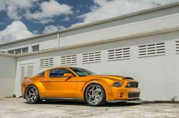 Shelby GT500 Super Snake  Ultimate Auto - 3