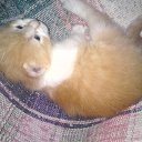 ���� ������, ������� ������, 64 ���� - ��������� 9 ������� 2014 � ������ ���� ����������