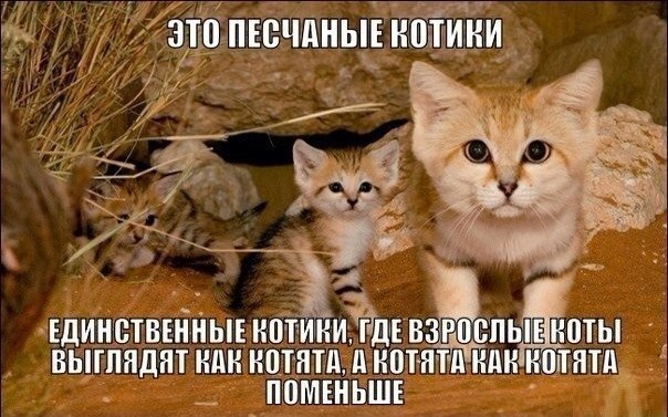    :D - 7  2014  03:51