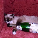 ����������... �� ������� �������