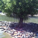 ���� ����, �����������, 49 ��� - ��������� 23 ������� 2014 � ������ ��������