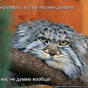 ���� ���, ������, 61 ��� - ��������� 28 ������ 2014 � ������ ���� ����������