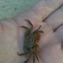  ,  -  4  2014    2014